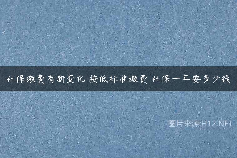 社保缴费有新变化 按低标准缴费 社保一年要多少钱