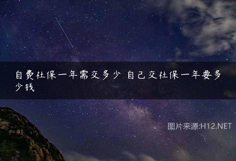 自费社保一年需交多少 自己交社保一年要多少钱