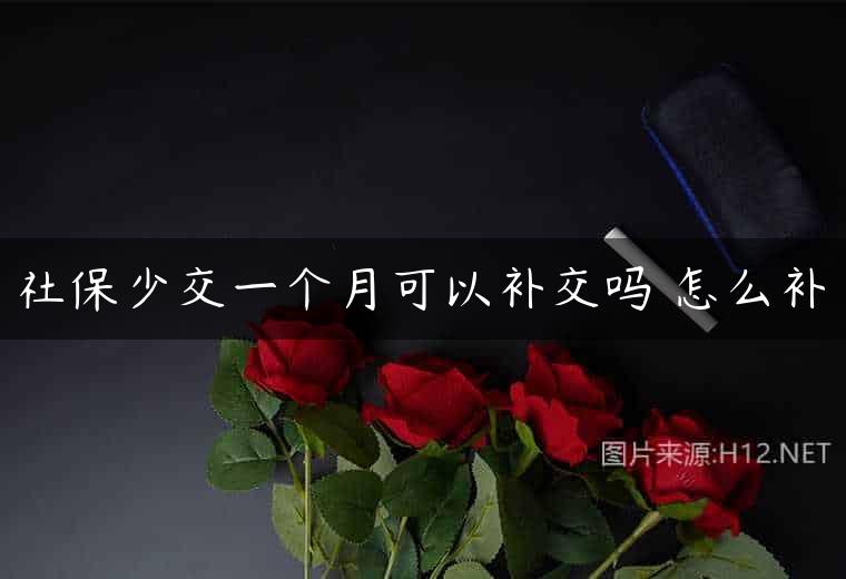 社保少交一个月可以补交吗 怎么补