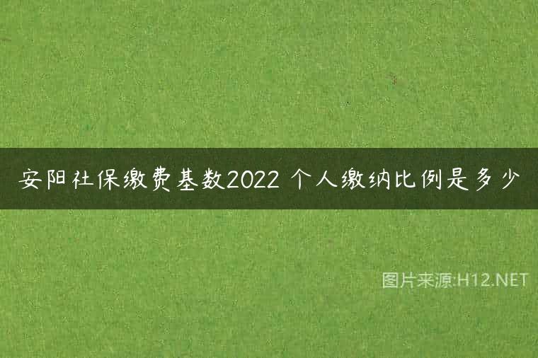 安阳社保缴费基数2022 个人缴纳比例是多少