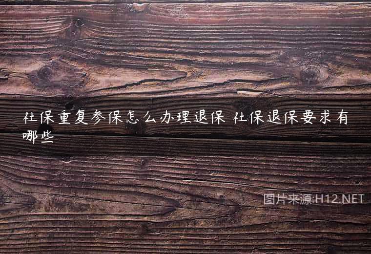 社保重复参保怎么办理退保 社保退保要求有哪些