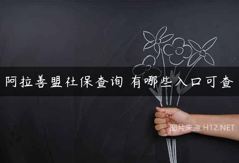 阿拉善盟社保查询 有哪些入口可查