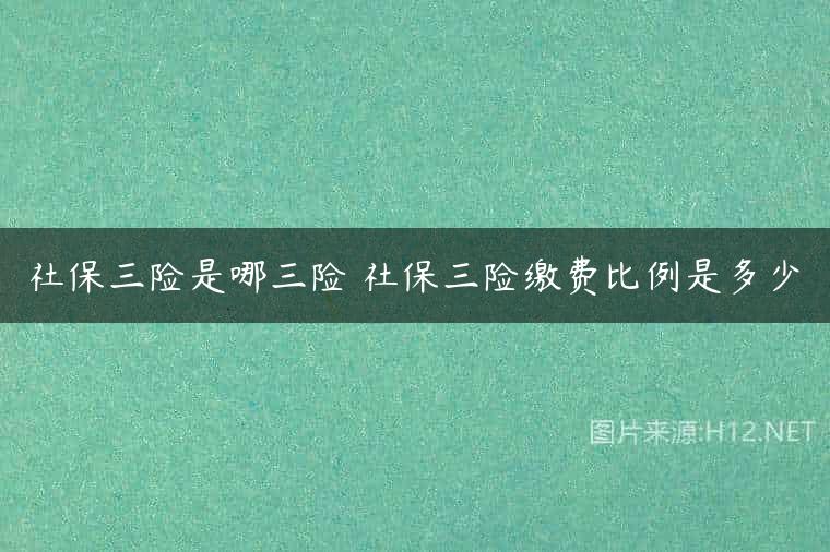 社保三险是哪三险 社保三险缴费比例是多少