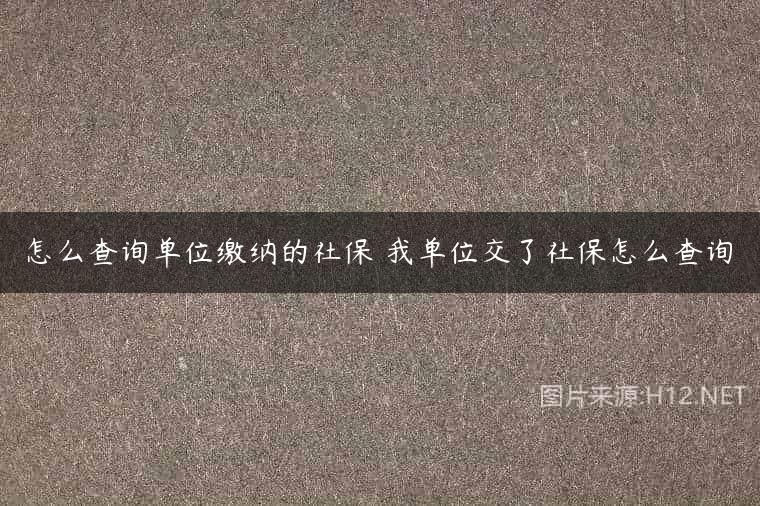 怎么查询单位缴纳的社保 我单位交了社保怎么查询