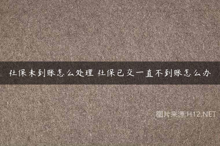 社保未到账怎么处理 社保已交一直不到账怎么办