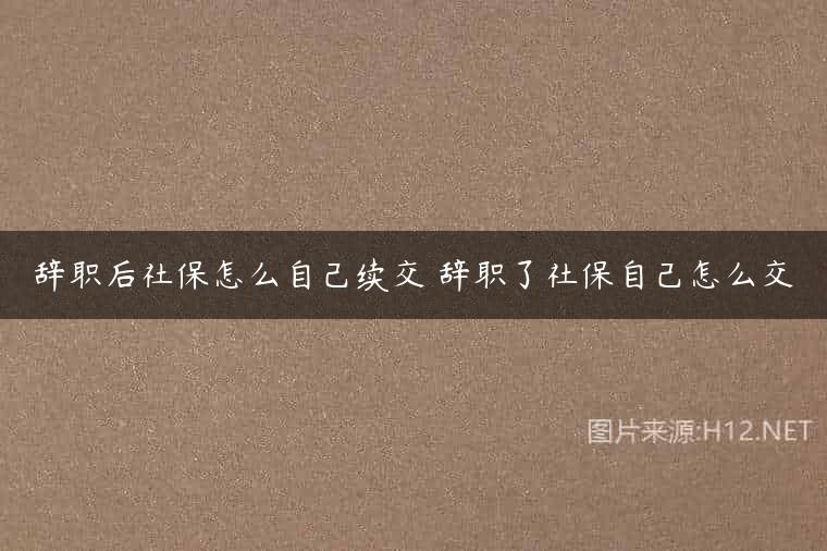 辞职后社保怎么自己续交 辞职了社保自己怎么交