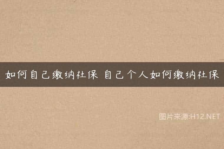如何自己缴纳社保 自己个人如何缴纳社保