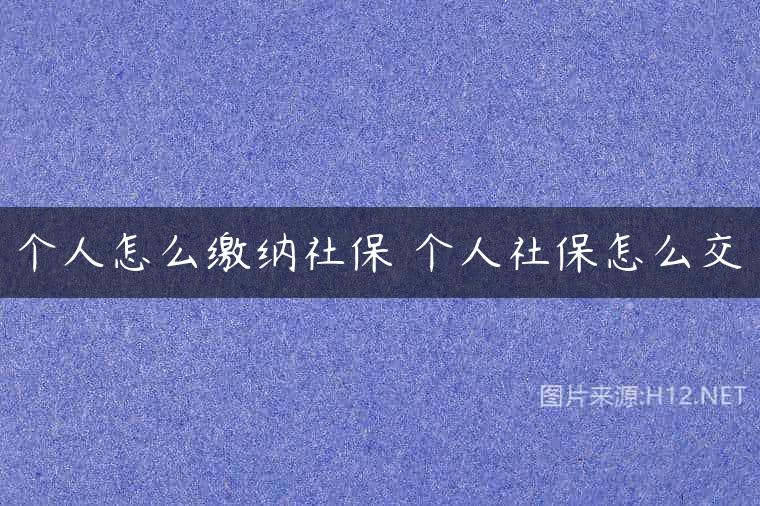 个人怎么缴纳社保 个人社保怎么交