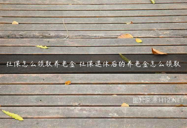 社保怎么领取养老金 社保退休后的养老金怎么领取