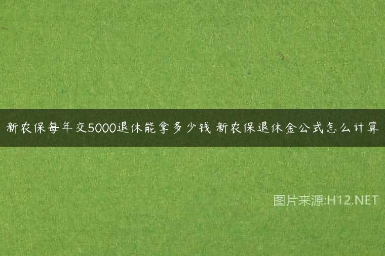 新农保每年交5000退休能拿多少钱 新农保退休金公式怎么计算