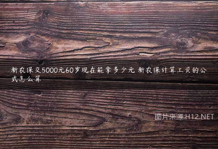 新农保交5000元60岁现在能拿多少元 新农保计算工资的公式怎么算