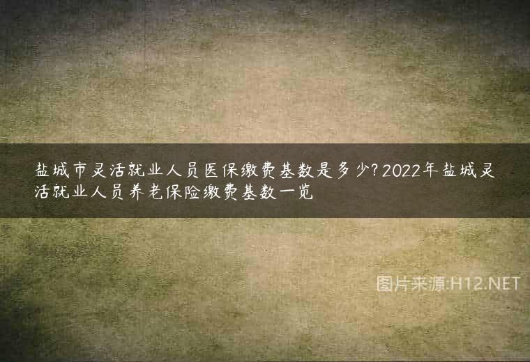 盐城市灵活就业人员医保缴费基数是多少? 2022年盐城灵活就业人员养老保险缴费基数一览