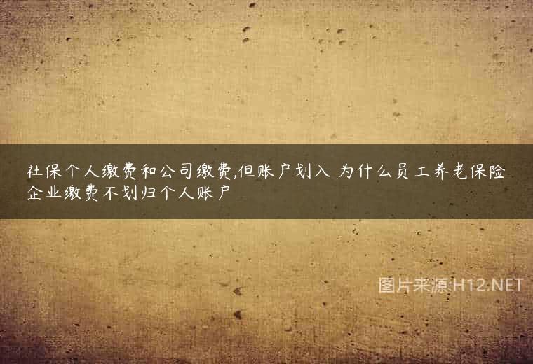 社保个人缴费和公司缴费,但账户划入 为什么员工养老保险企业缴费不划归个人账户