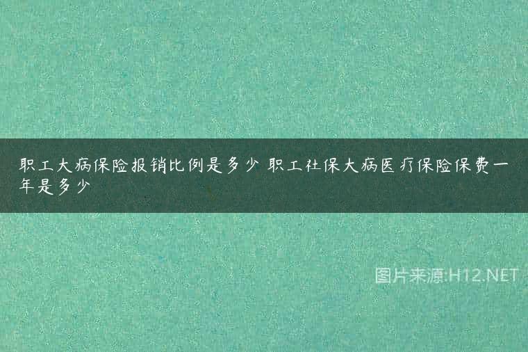 职工大病保险报销比例是多少 职工社保大病医疗保险保费一年是多少