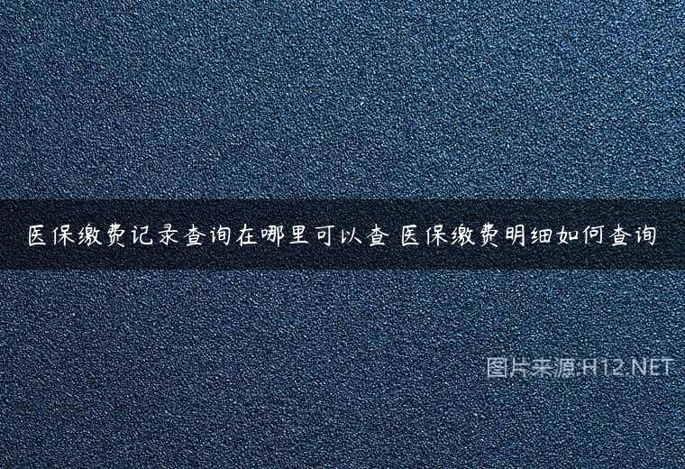 医保缴费记录查询在哪里可以查 医保缴费明细如何查询