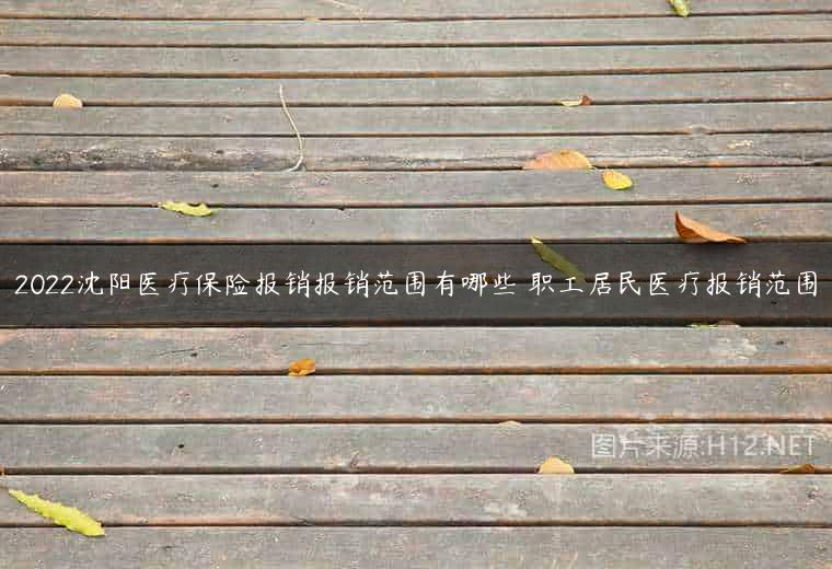 2022沈阳医疗保险报销报销范围有哪些 职工居民医疗报销范围