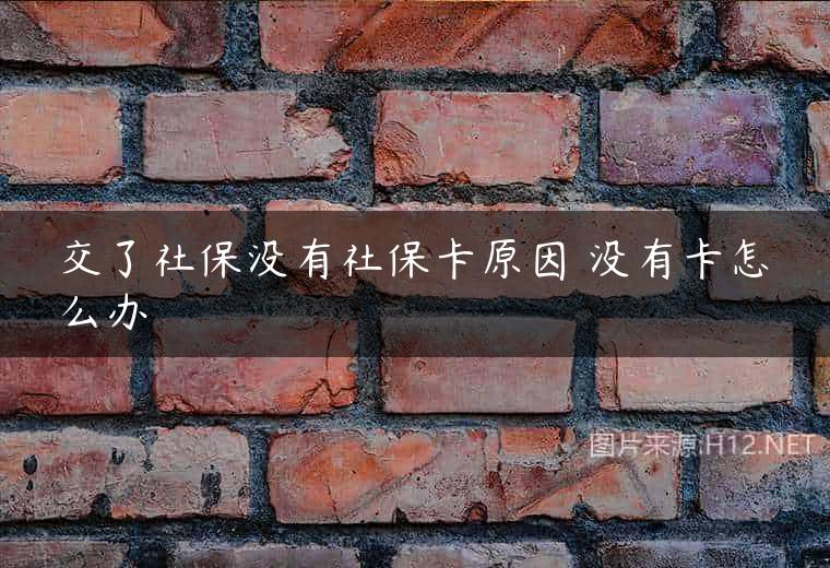 交了社保没有社保卡原因 没有卡怎么办