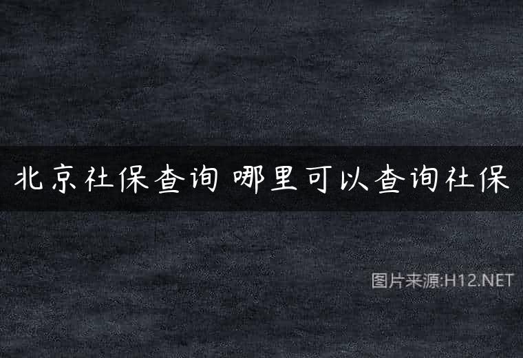 北京社保查询 哪里可以查询社保