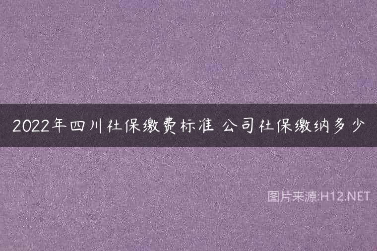 2022年四川社保缴费标准 公司社保缴纳多少