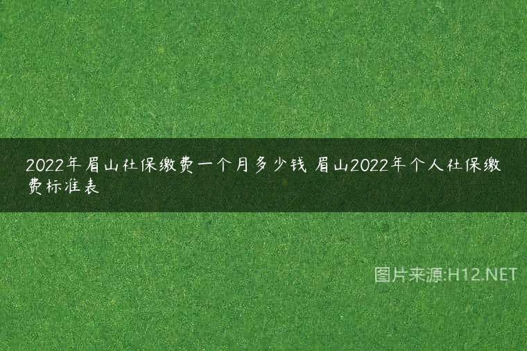 2022年眉山社保缴费一个月多少钱 眉山2022年个人社保缴费标准表