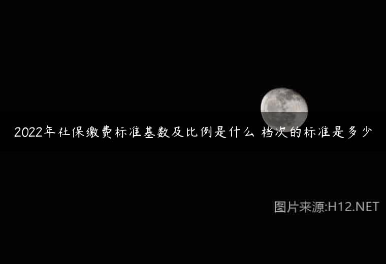 2022年社保缴费标准基数及比例是什么 档次的标准是多少