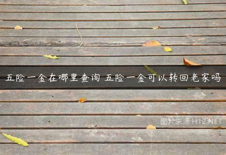 五险一金在哪里查询 五险一金可以转回老家吗