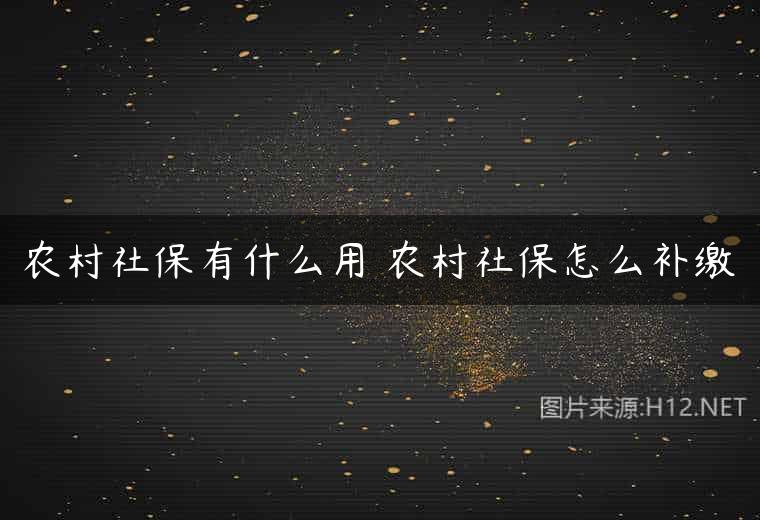 农村社保有什么用 农村社保怎么补缴