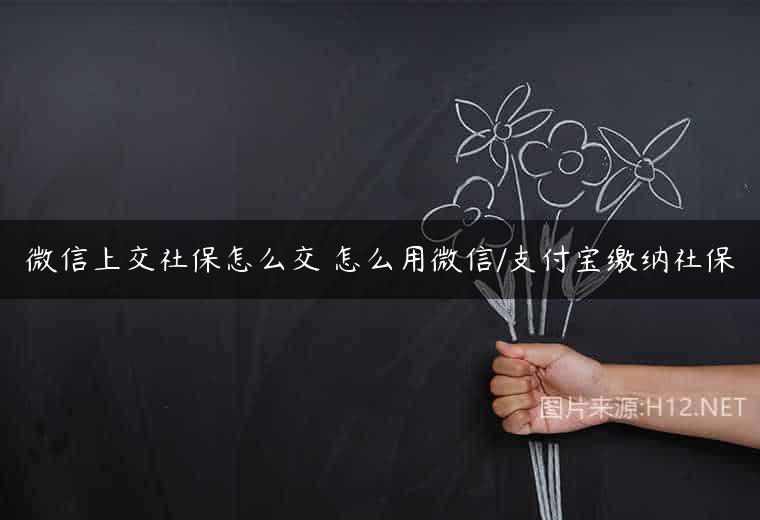 微信上交社保怎么交 怎么用微信/支付宝缴纳社保