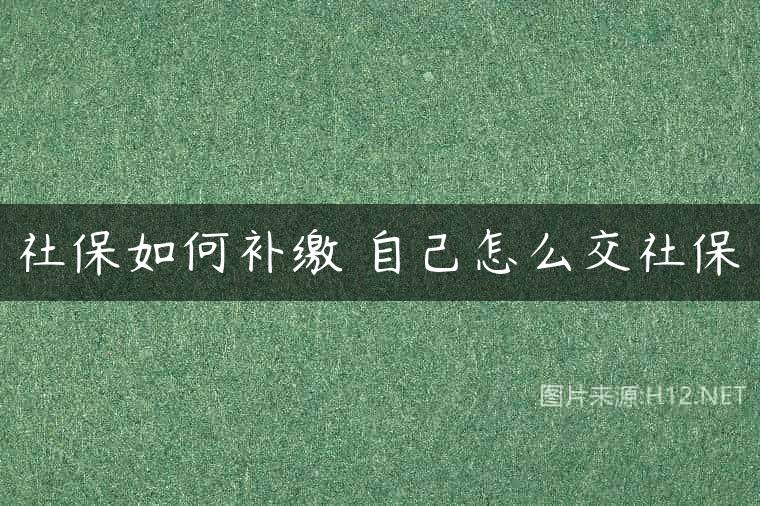 社保如何补缴 自己怎么交社保