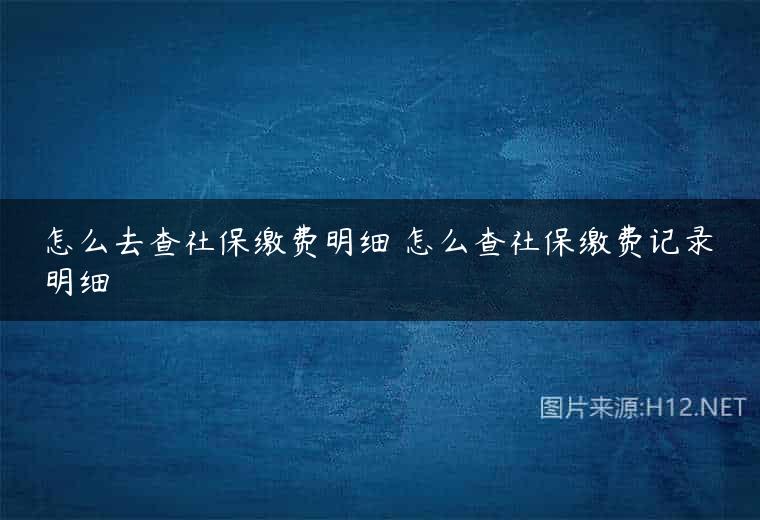 怎么去查社保缴费明细 怎么查社保缴费记录明细