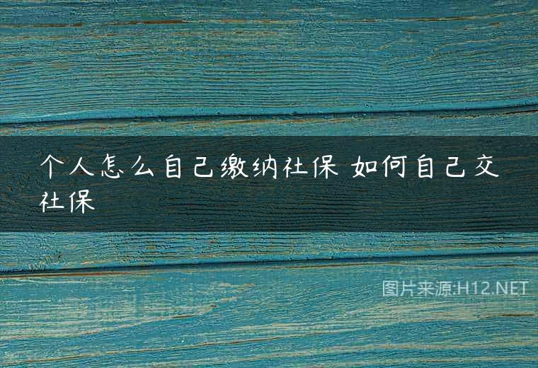 个人怎么自己缴纳社保 如何自己交社保