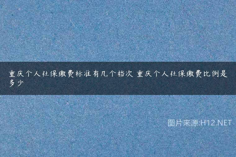 重庆个人社保缴费标准有几个档次 重庆个人社保缴费比例是多少