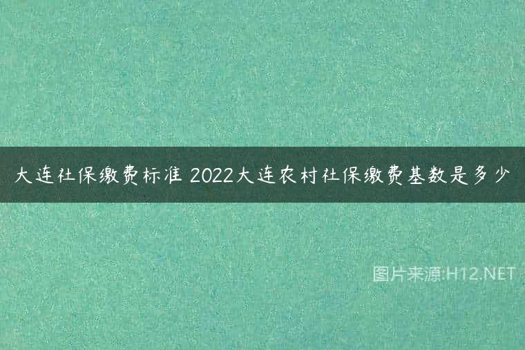 大连社保缴费标准 2022大连农村社保缴费基数是多少