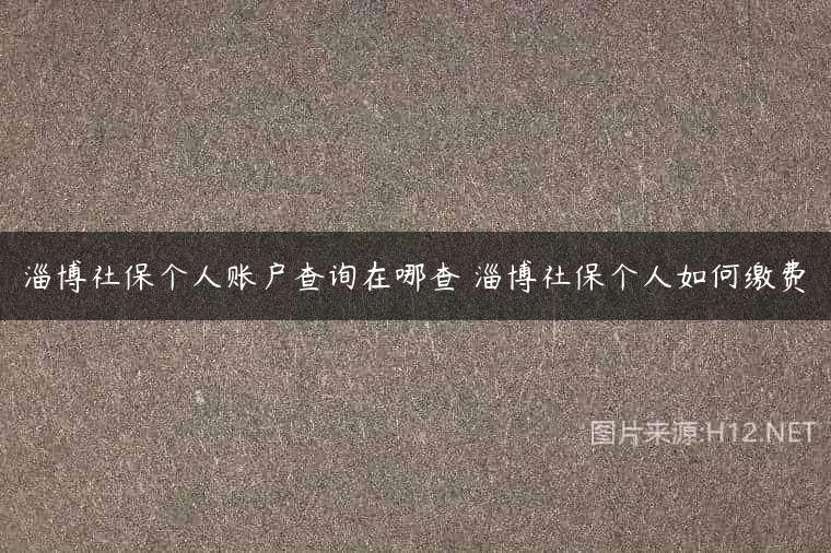 淄博社保个人账户查询在哪查 淄博社保个人如何缴费
