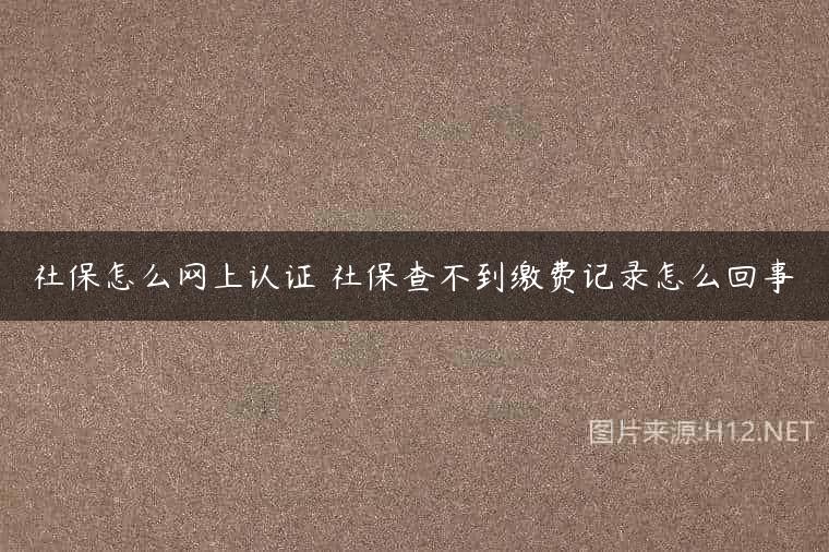 社保怎么网上认证 社保查不到缴费记录怎么回事