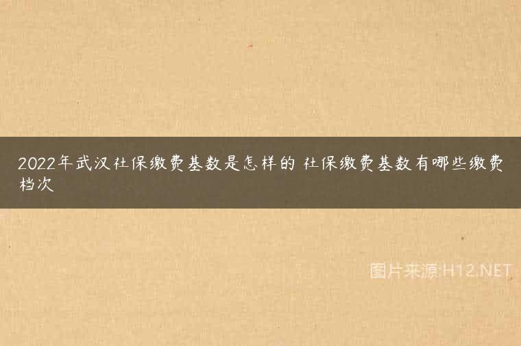 2022年武汉社保缴费基数是怎样的 社保缴费基数有哪些缴费档次