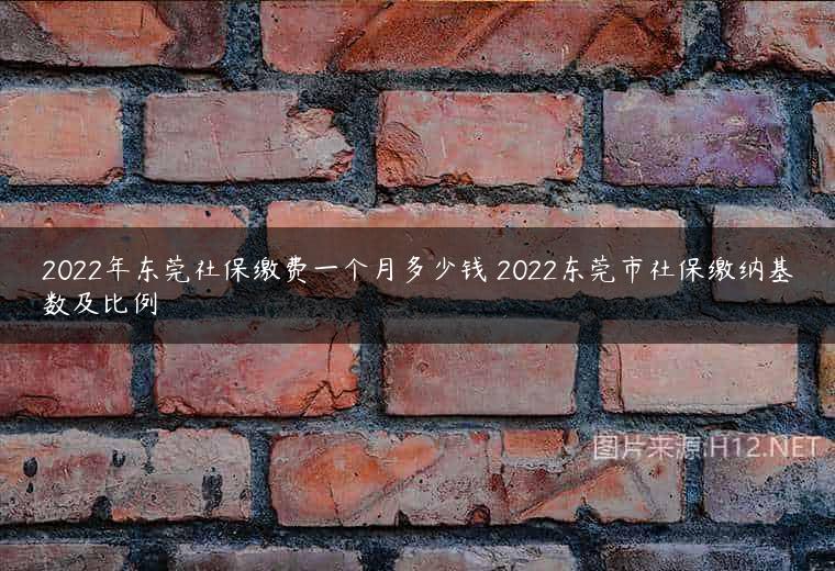 2022年东莞社保缴费一个月多少钱 2022东莞市社保缴纳基数及比例