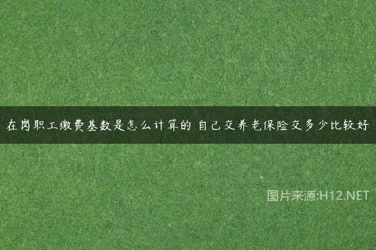 在岗职工缴费基数是怎么计算的 自己交养老保险交多少比较好