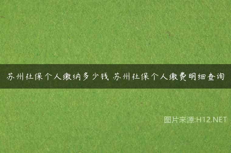 苏州社保个人缴纳多少钱 苏州社保个人缴费明细查询