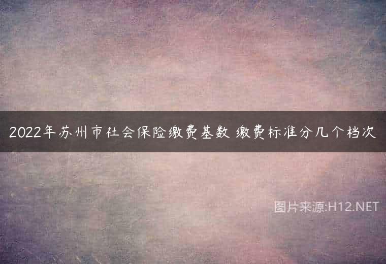 2022年苏州市社会保险缴费基数 缴费标准分几个档次