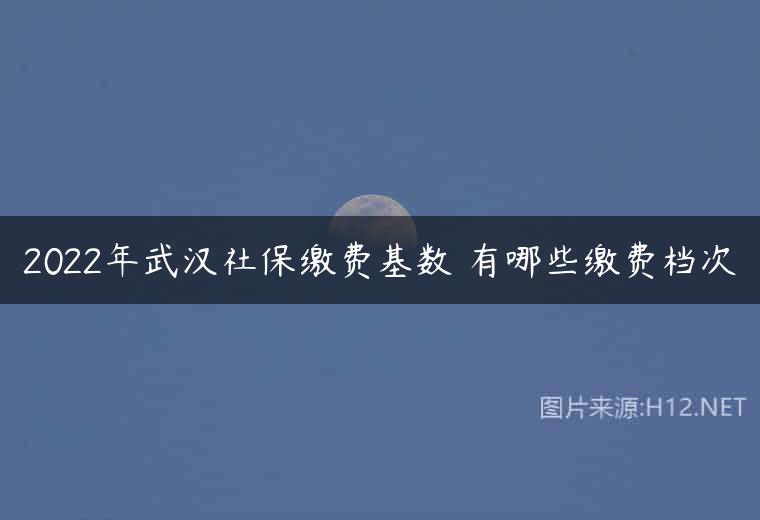 2022年武汉社保缴费基数 有哪些缴费档次