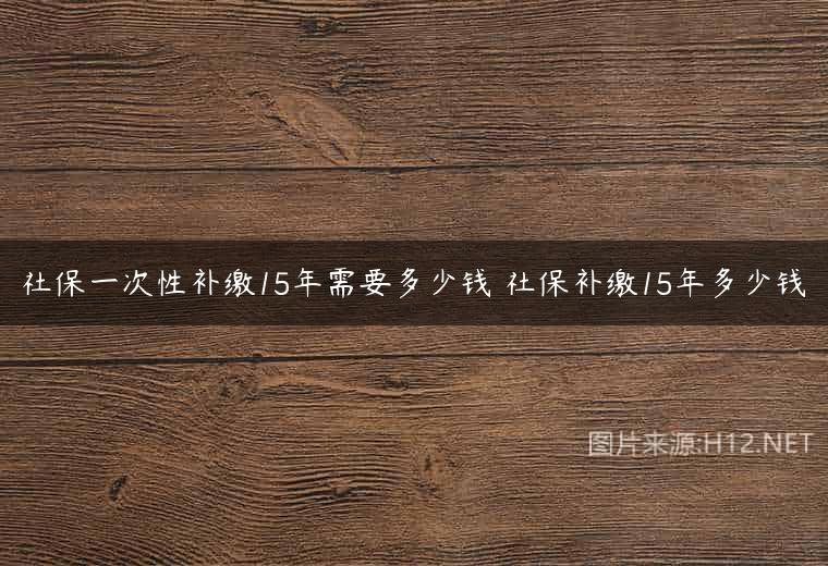 社保一次性补缴15年需要多少钱 社保补缴15年多少钱