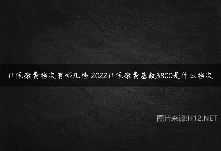社保缴费档次有哪几档 2022社保缴费基数3800是什么档次