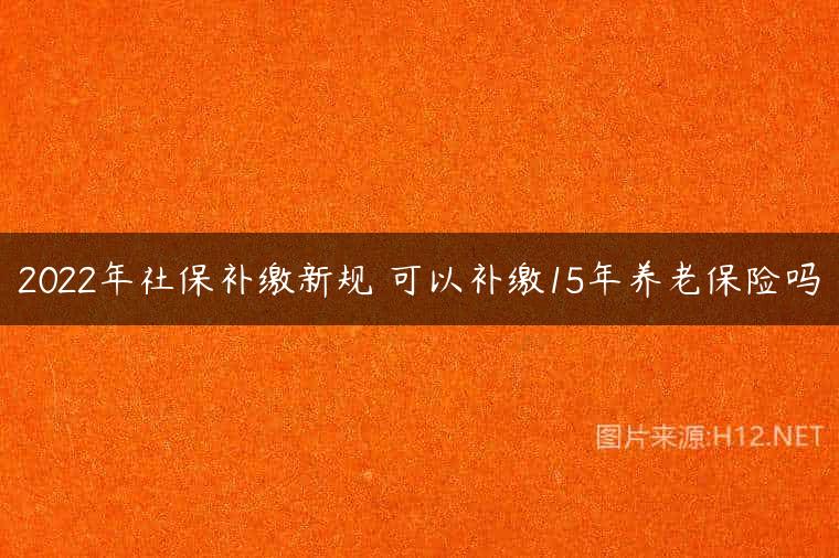 2022年社保补缴新规 可以补缴15年养老保险吗