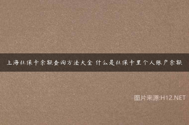 上海社保卡余额查询方法大全 什么是社保卡里个人账户余额