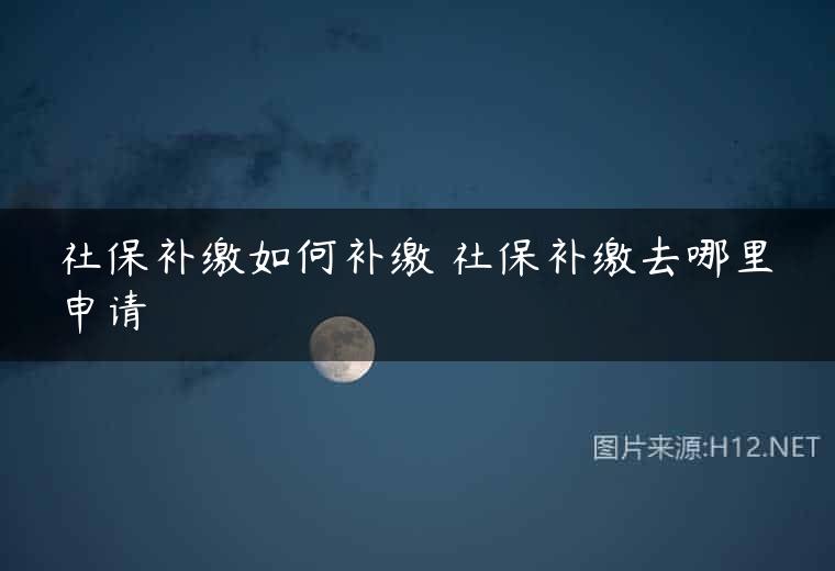 社保补缴如何补缴 社保补缴去哪里申请