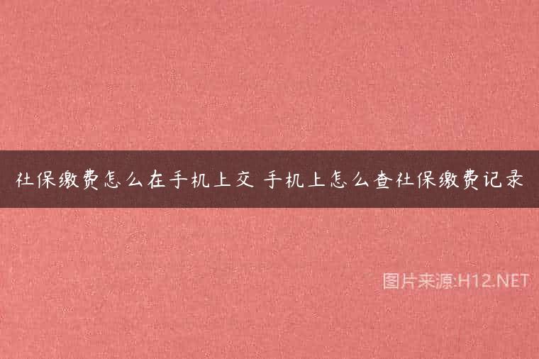 社保缴费怎么在手机上交 手机上怎么查社保缴费记录