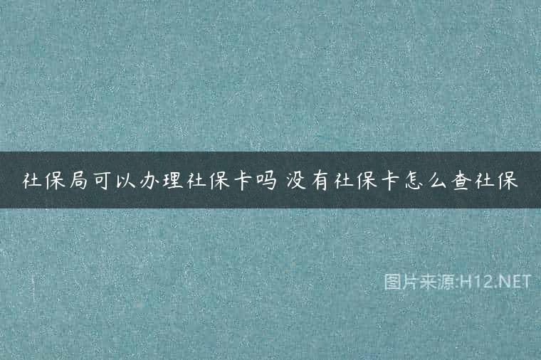 社保局可以办理社保卡吗 没有社保卡怎么查社保