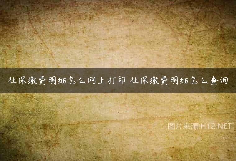 社保缴费明细怎么网上打印 社保缴费明细怎么查询