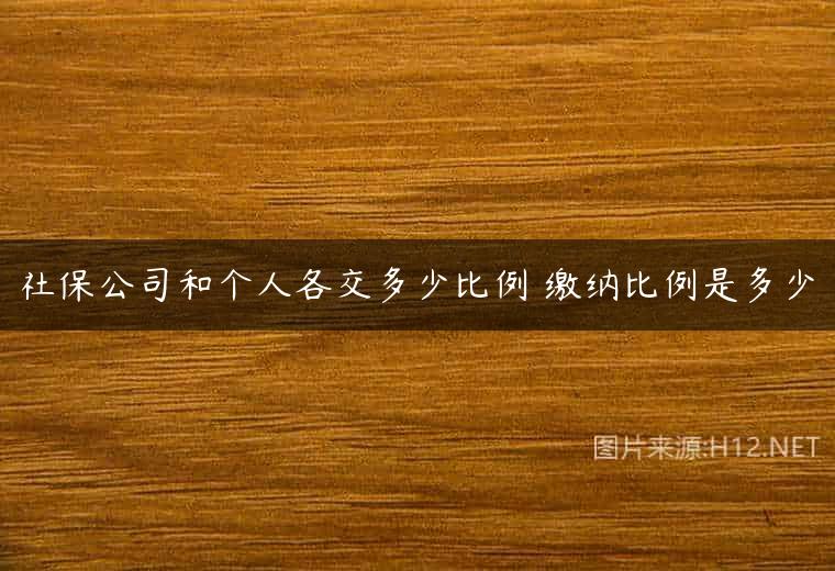 社保公司和个人各交多少比例 缴纳比例是多少